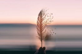 الأحلام نوعان, أحلام جميلة وأحلام سيّئة