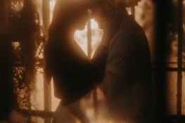 الحديقة الشتوية لهنري سلفادور