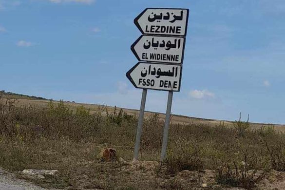 جولة استكشافية لعمادة الوديان