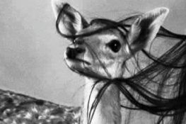 الشاعرة معالي بن غزي: قصيدة بعنوان “هل”