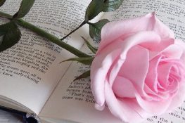 قصيد بعنوان “الورود الجافة”