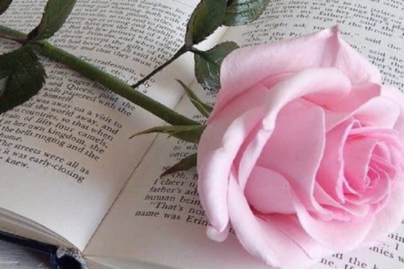 قصيد بعنوان “الورود الجافة”