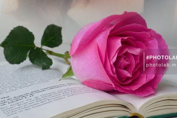 قصيد عاصفة الغبار