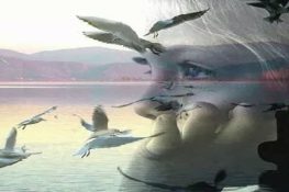 قصيد للشاعرة التونسية دنياس عليلة بعنوان “كل شيء على ما يرام”