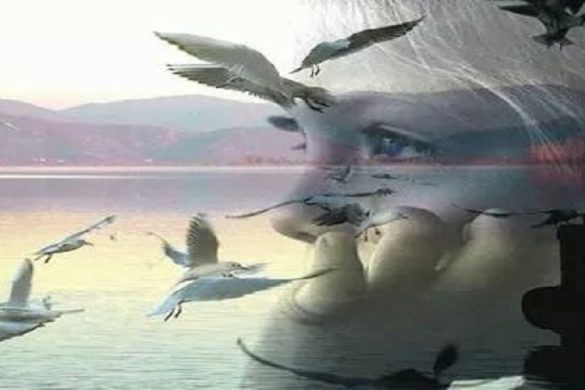 قصيد للشاعرة التونسية دنياس عليلة بعنوان “كل شيء على ما يرام”