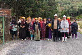 طبرقة:مشروع نسائي لحماية الغابة وتثمين منتجاتها