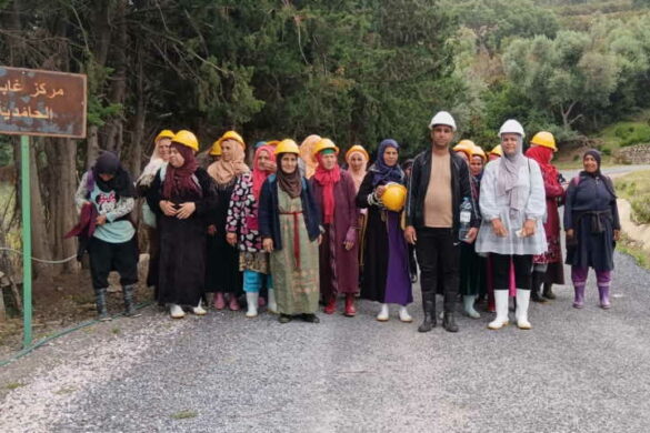 طبرقة:مشروع نسائي لحماية الغابة وتثمين منتجاتها