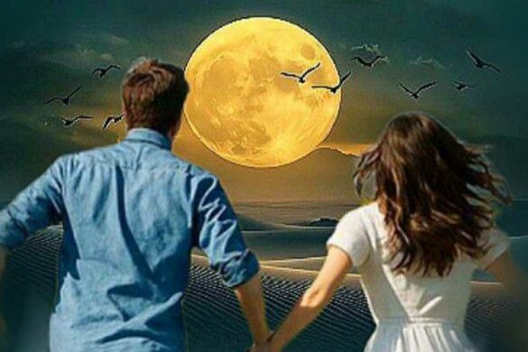 غزلان البوادي حمدي تكتب “الى شاعر القلب وقمر الحروف”