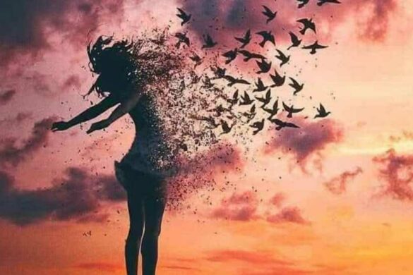 منصورة عمر تكتب “أحتاجك… أحتاج نافذتك!!”