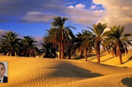 صابر الحميدي يكتب “بالقلب والرّوح!!”