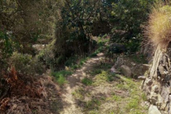 زاهر الأسعد من فلسطين يقدّم نصّا بعنوان “صمتٌ يتذكّر”