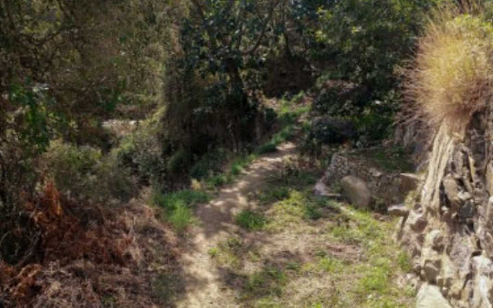 زاهر الأسعد من فلسطين يقدّم نصّا بعنوان “صمتٌ يتذكّر”