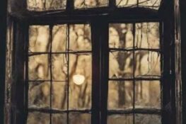 زاهر الأسعد/فلسطين: يكتب “برد الزجاج يصير معنى”