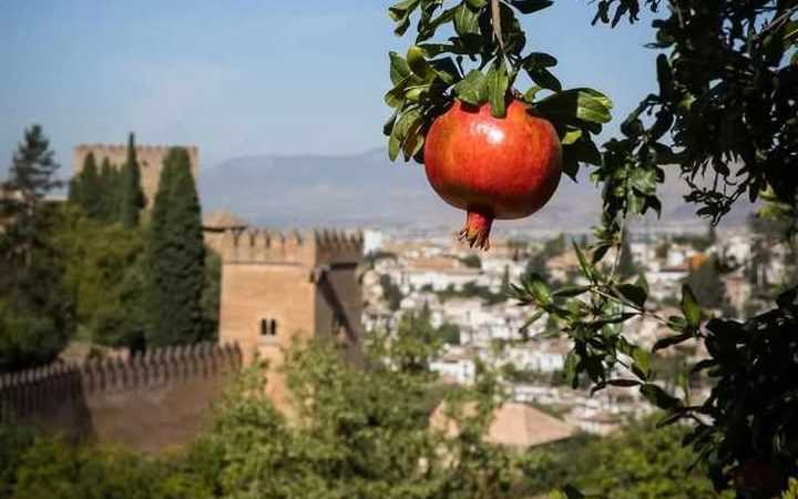 صابر الحميدي / تونس: يكتب “جولة في غرناطة – رمضان في القرن العاشر”