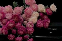 آية الكلاعي / المغرب: إلى أمي في اليوم العالمي للمرأة