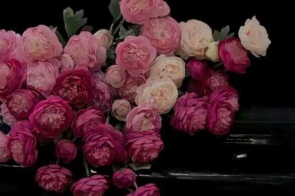 آية الكلاعي / المغرب: إلى أمي في اليوم العالمي للمرأة