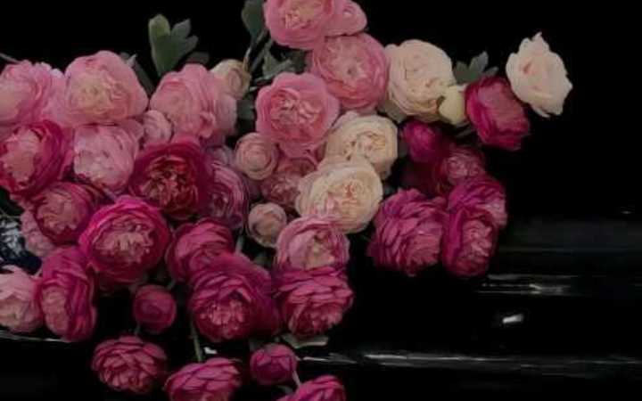 آية الكلاعي / المغرب: إلى أمي في اليوم العالمي للمرأة