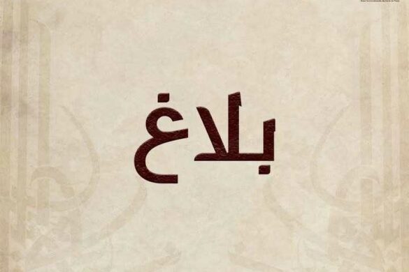 بلاغ من إدارة معرض تونس الدولي للكتاب